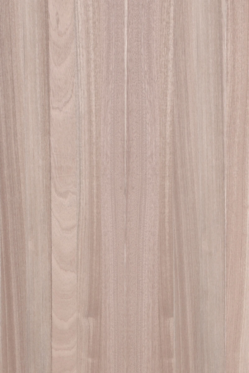 Sapelli Masif Panel galeri
