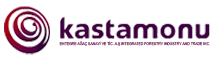 kastamonu logo